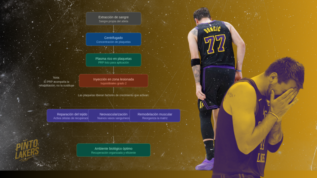 Luka doncic recuperación